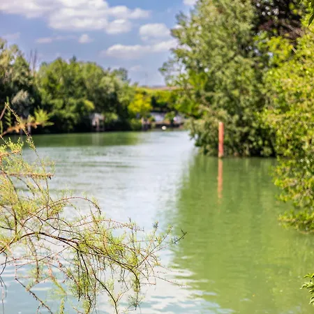 D'exception En Bords De Marne *